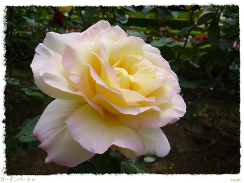 ガーデンパーティ