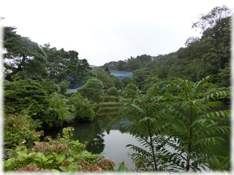 新江戸川公園