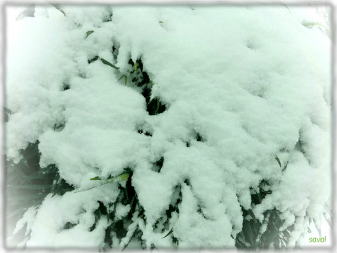 20140208am_01