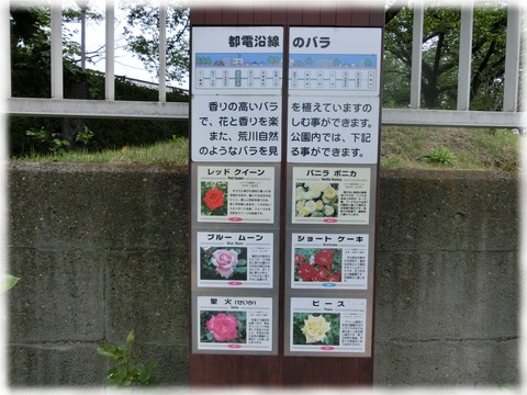荒川二丁目