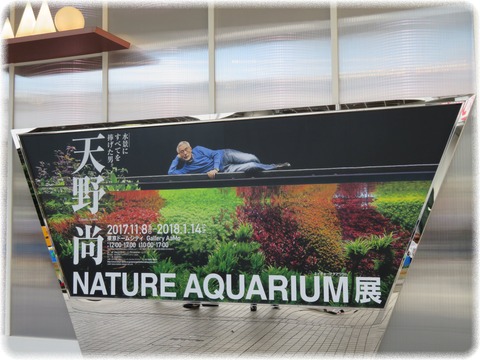 NATURE AQUARIUM展