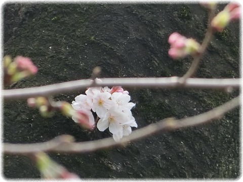 根津美術館