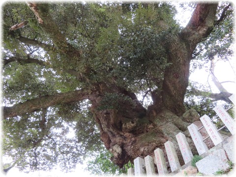 雨引山楽法寺