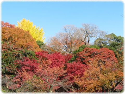 小石川後楽園