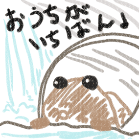 10年08月 ものずきん モノとネコと時々介護 10年08月 ものずきん モノとネコと時々介護