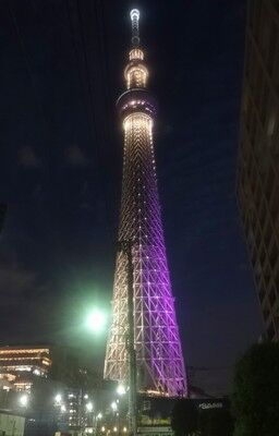 東京スカイツリー 雅 Twilight 黄昏時 東京スカイツリー 雅 Twilight 黄昏時