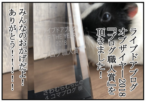 H30.11.29　キッチンペーパー　7