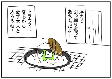 862秋…杉の葉といえば　8