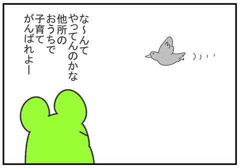 R2.6.17 ハトの引っ越し 8