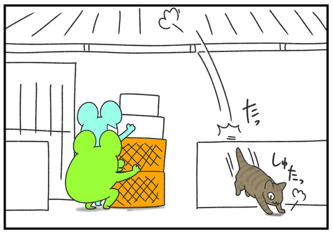 R2.6.29 猫を救出 4