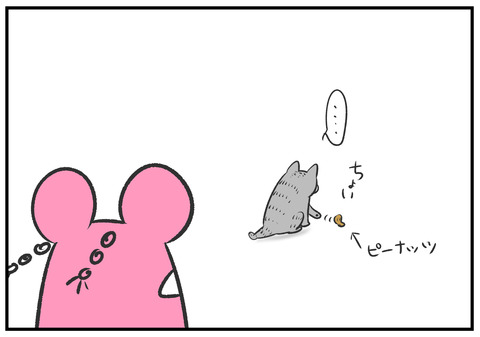 H30.8.23　ネコと遊ぶ子どもたち　9