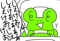 しぇけお