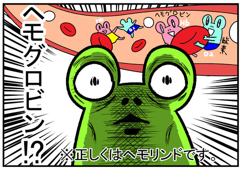 H30.12.3 ヘモリンド4