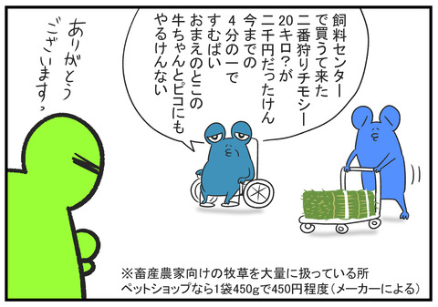 H30.10.31　義父とモルモットとチモシー　2