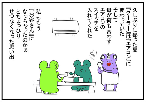 H30.7.24 木目のクーラー 6