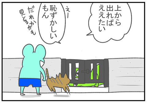 R11.26　門扉　4