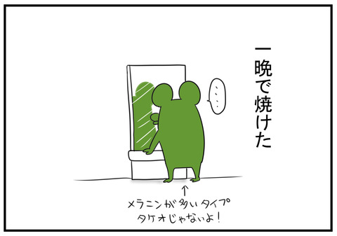H30.7.22　メラニン　4