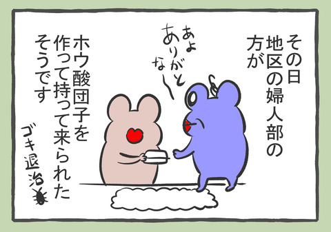 ホウ酸団子 6