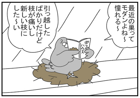 R2.6.17 ハトの引っ越し 3