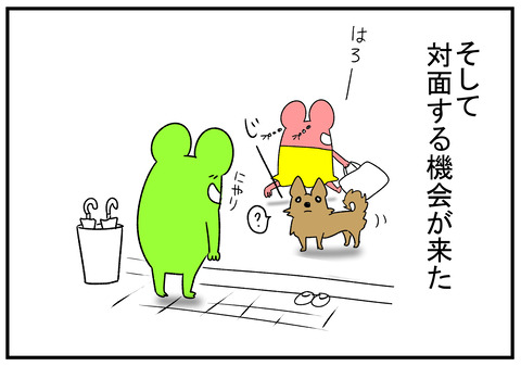 R1.1218　犬もかわいい　4