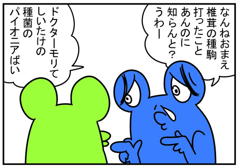 23　椎茸の種駒　4