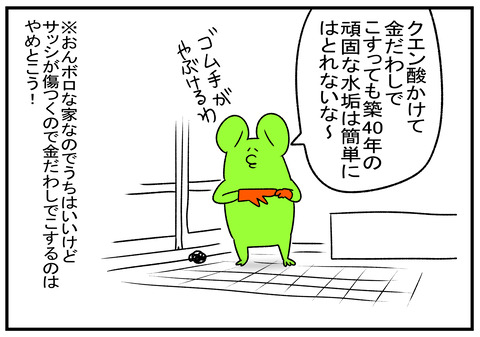 R1.11.8 カネダワシ 2