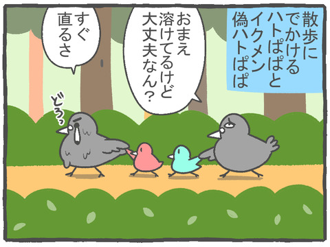 R2.10.13　ハトぱっぱその15　1