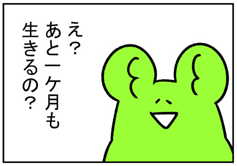 H31.3.31　新元号まで　2