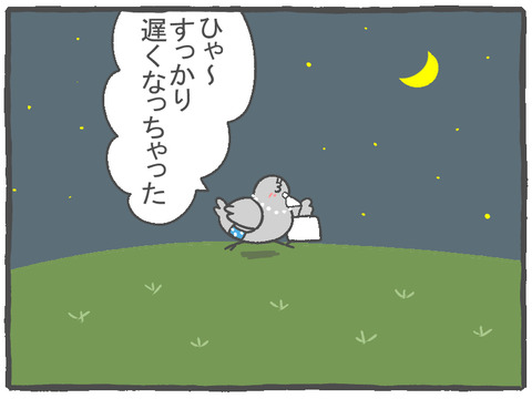 R2.10.9　ハトぱっぱその13　2