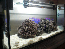 さわむらむらこの4コマブログ