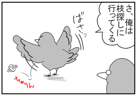 R2.6.17 ハトの引っ越し 6