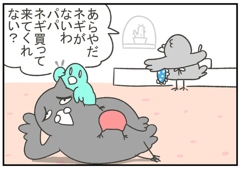 R2.9.17　はとパッパ　鴨ネギ　1