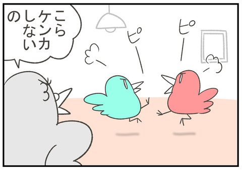R2.9.1　はとパッパ２