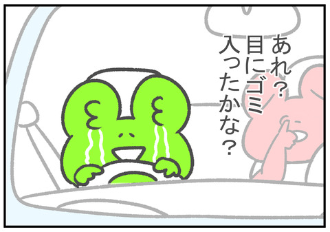 R3 6.6 7