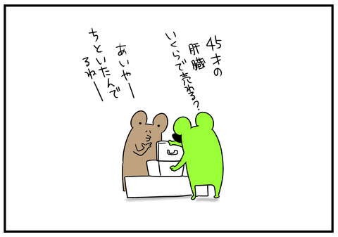 H31.2.7 肝臓