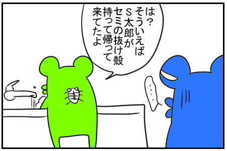 11ãããã¯è«å«ãã6