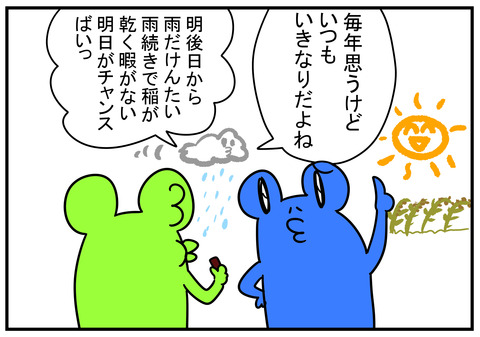 6　稲刈り前日のテンションがおかしい　2