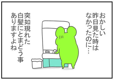 R2.5.23　白髪の妖精　3
