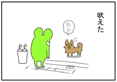 R1.1218　犬もかわいい　6