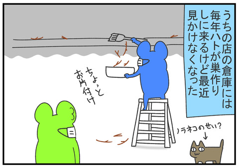 R2.6.17 ハトの引っ越し 1