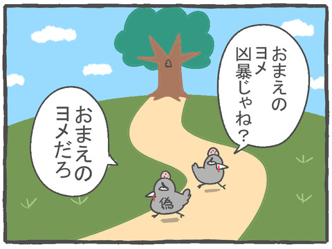 R2.10.11 ハトぱっぱその11 2