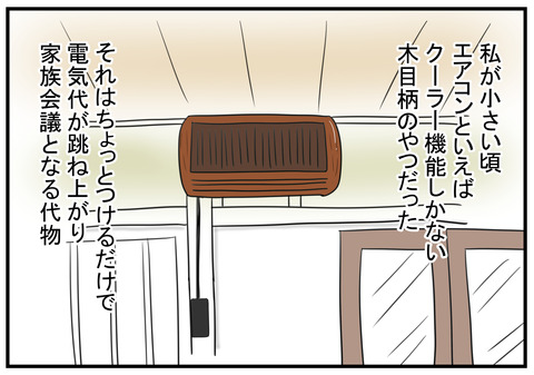 H30.7.24 木目のクーラー 1