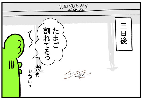 H30.7.25　鳩の巣　3