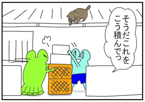 R2.6.29 猫を救出 2