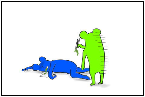 さんま　5