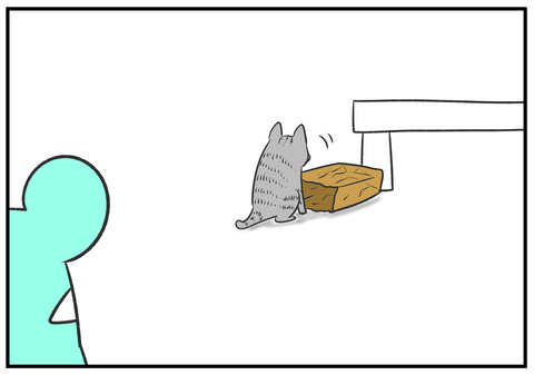 H30.8.23　ネコと遊ぶ子どもたち　5