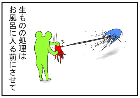 H30.11.4　タコと魚　生物の下処理　4