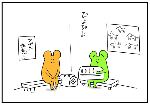 H31.2.12　ひよこ　2