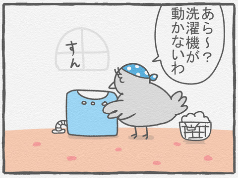 ハトぱっぱ36　1