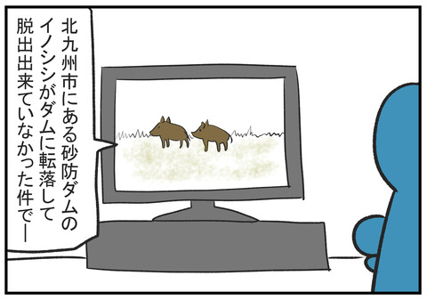 H30.10.28 砂防ダムのイノシシを見て義父の一言 1